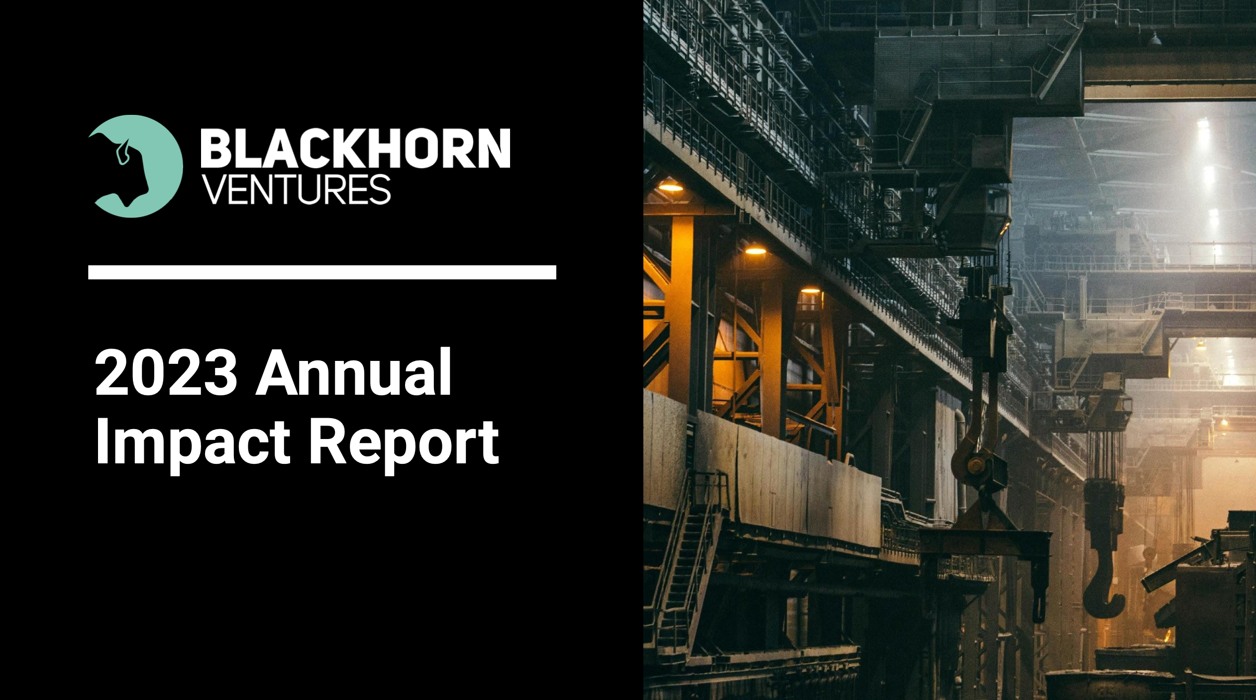 2021 Blackhorn Ventures Annual Impact Report